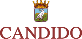 Candido